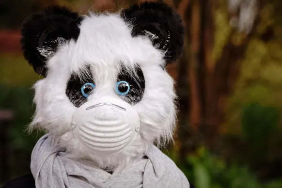 أوبا 88888888 كازينو الدعم